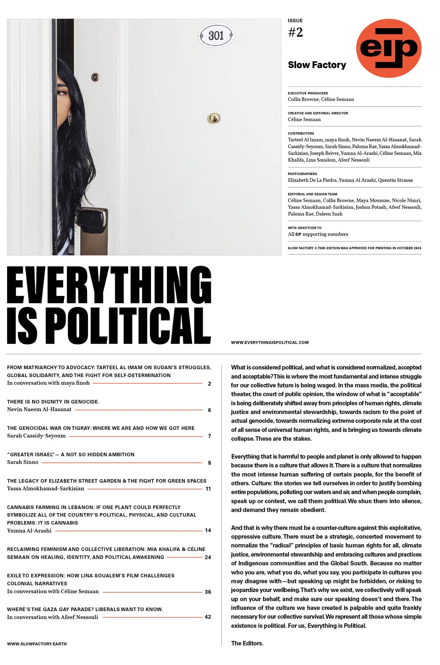 Everything is Political – Issue #2