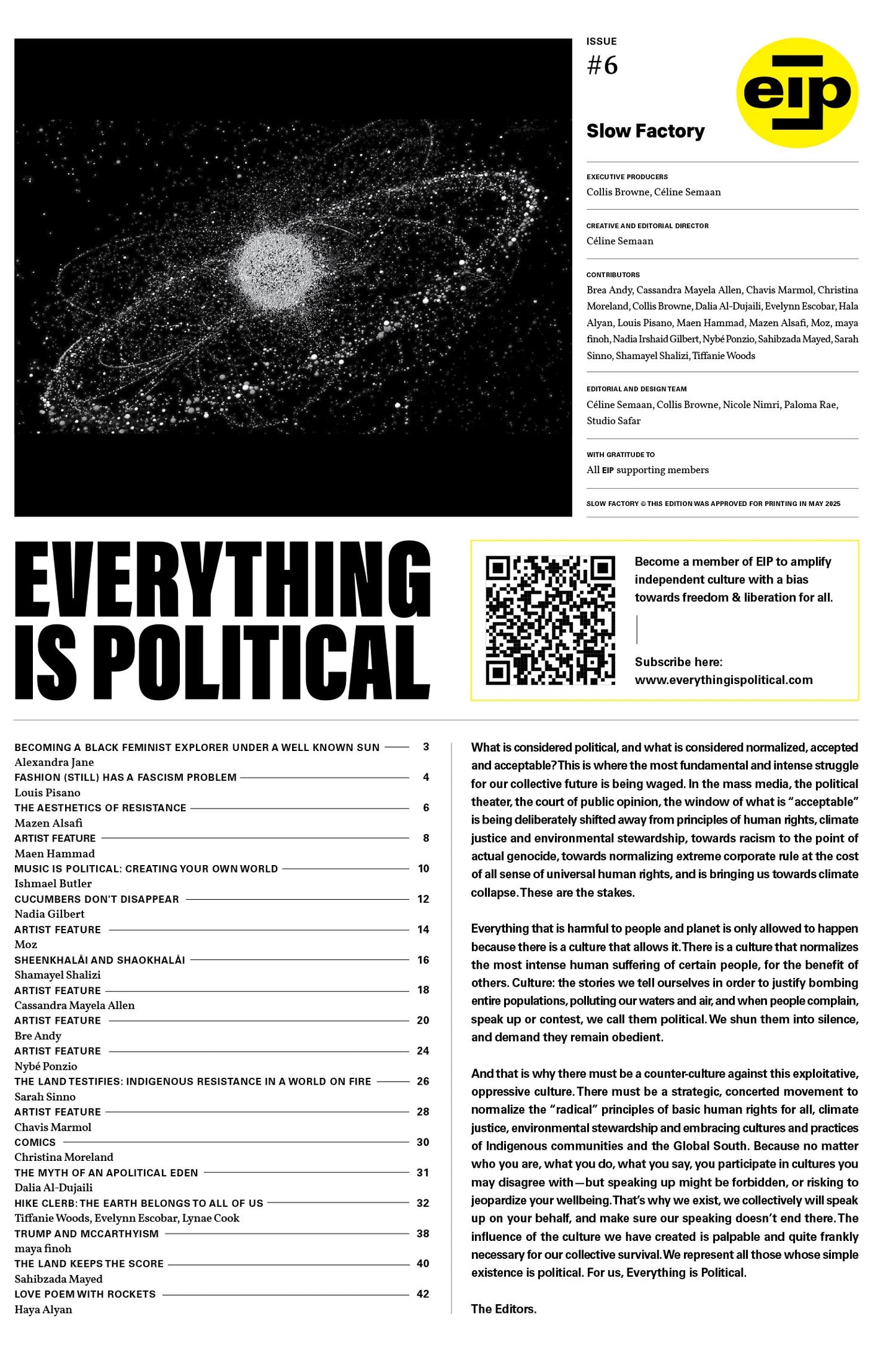 Everything is Political – Issue #6