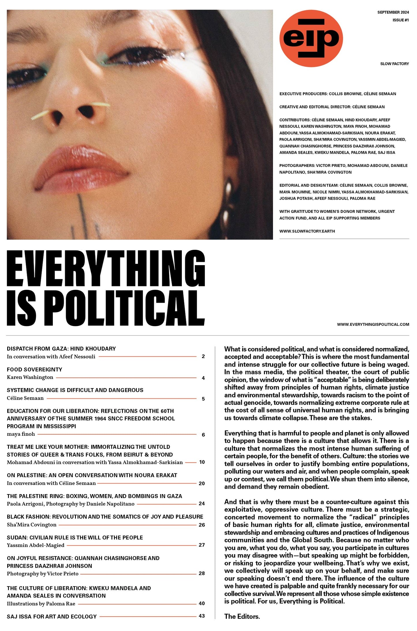 Everything is Political – Issue #1